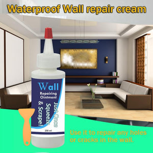 Wall Repairing Ointment