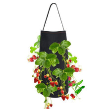 Load image into Gallery viewer, Hanging Strawberry Planting Bag
