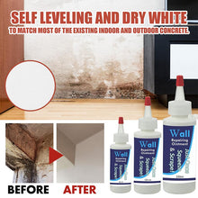 Load image into Gallery viewer, Wall Repairing Ointment