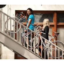 Load image into Gallery viewer, Bicycle Frame Handle - The &quot;Little Lifter&quot;