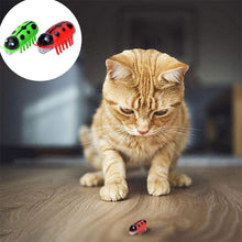 Load image into Gallery viewer, Super Robot Bug Toy for Cats - 2 Pcs